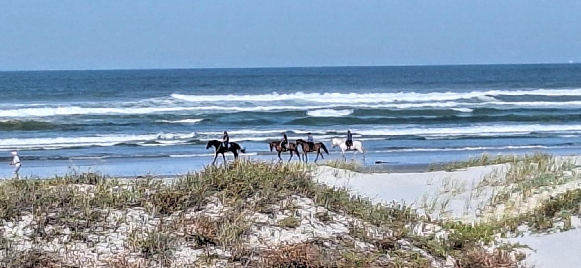 14 Penguin Place, Melkbosstrand Esterno foto