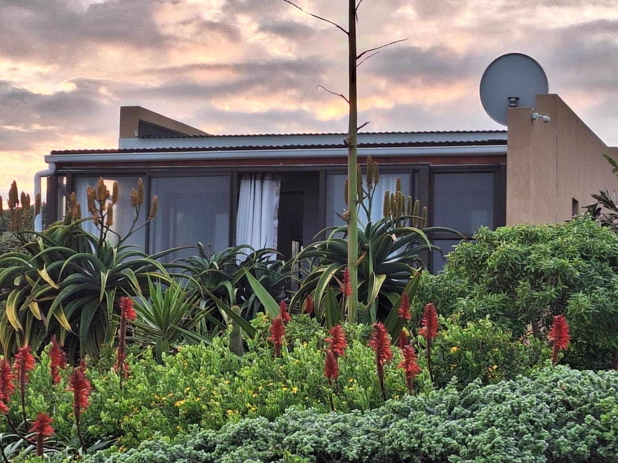 14 Penguin Place, Melkbosstrand Esterno foto
