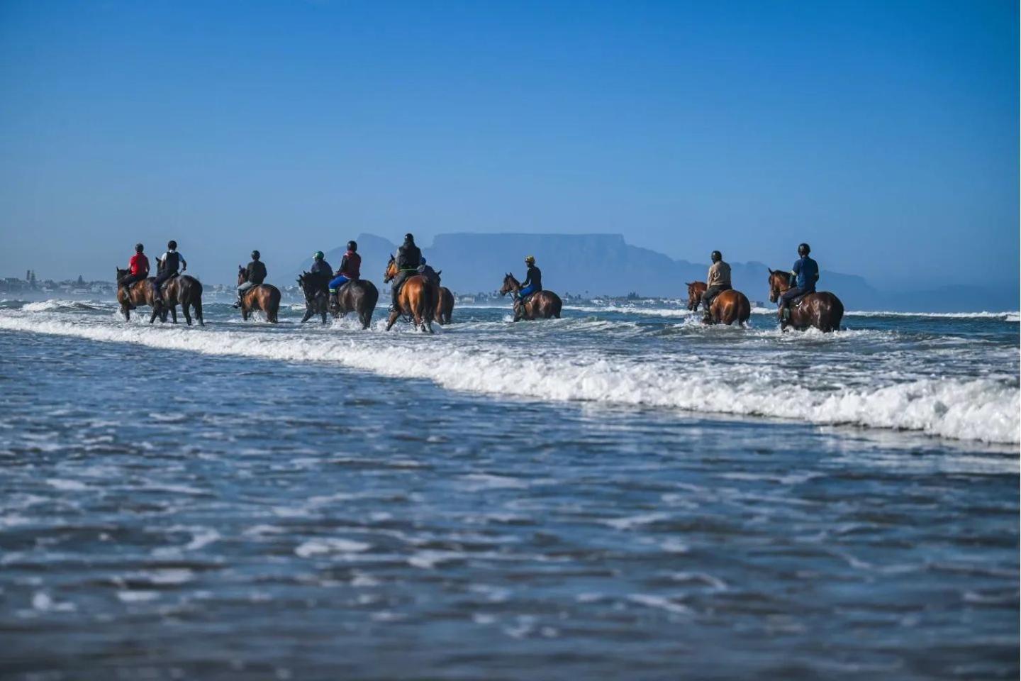 14 Penguin Place, Melkbosstrand Esterno foto